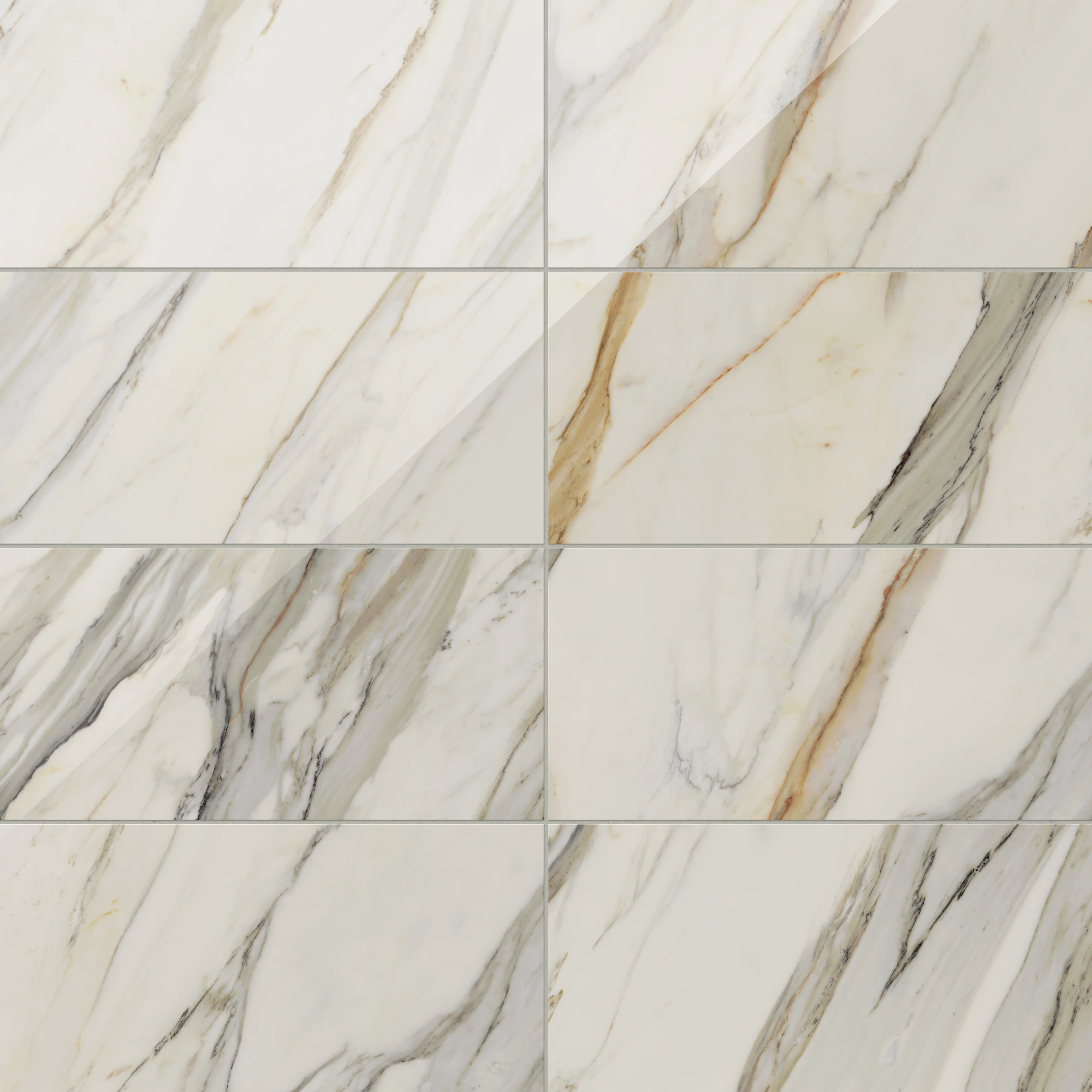 Aniston 12x24 Polished Porcelain Tile in Calacatta Cremo