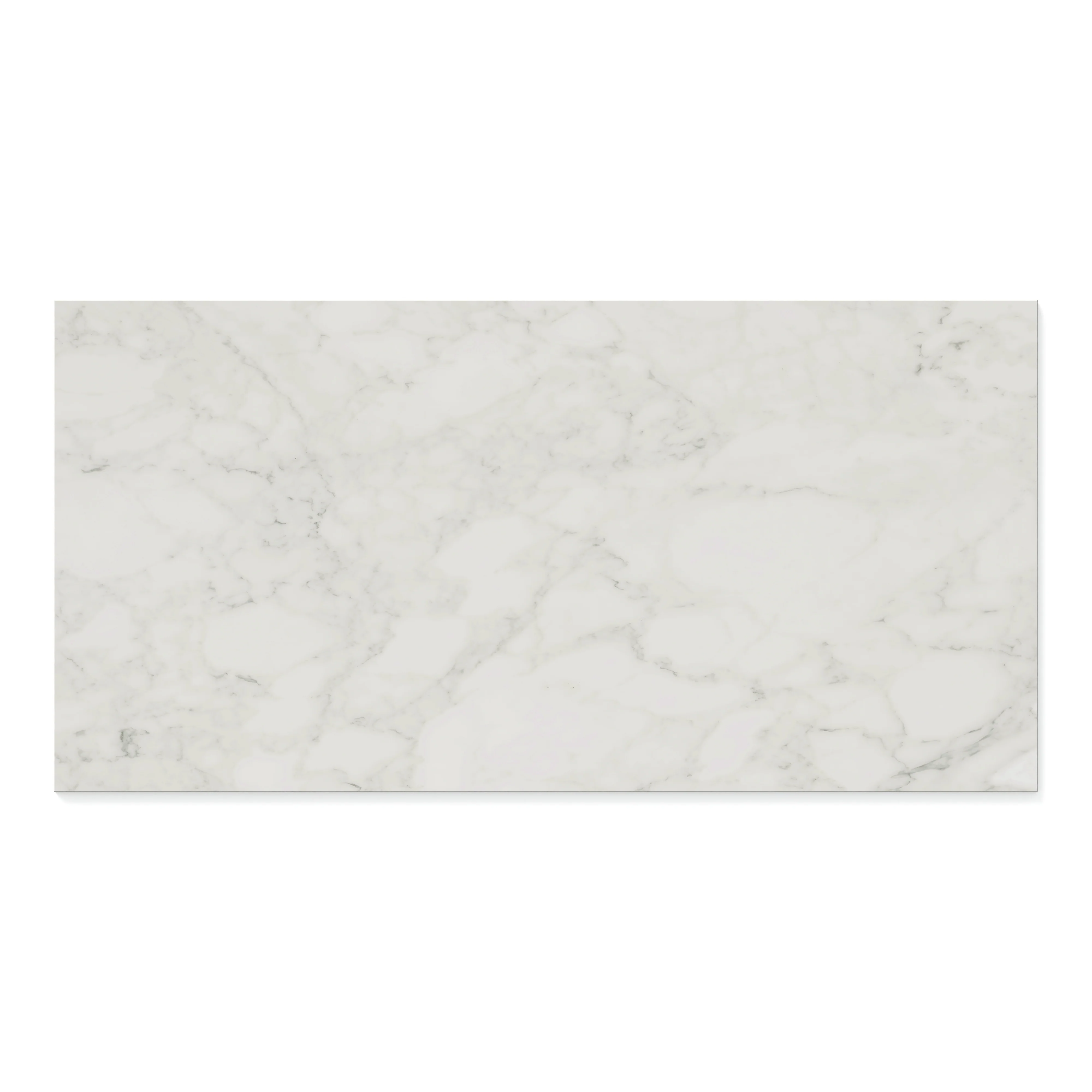 Aniston 24x48 Matte Porcelain Tile in Carrara Bianco - Image 3