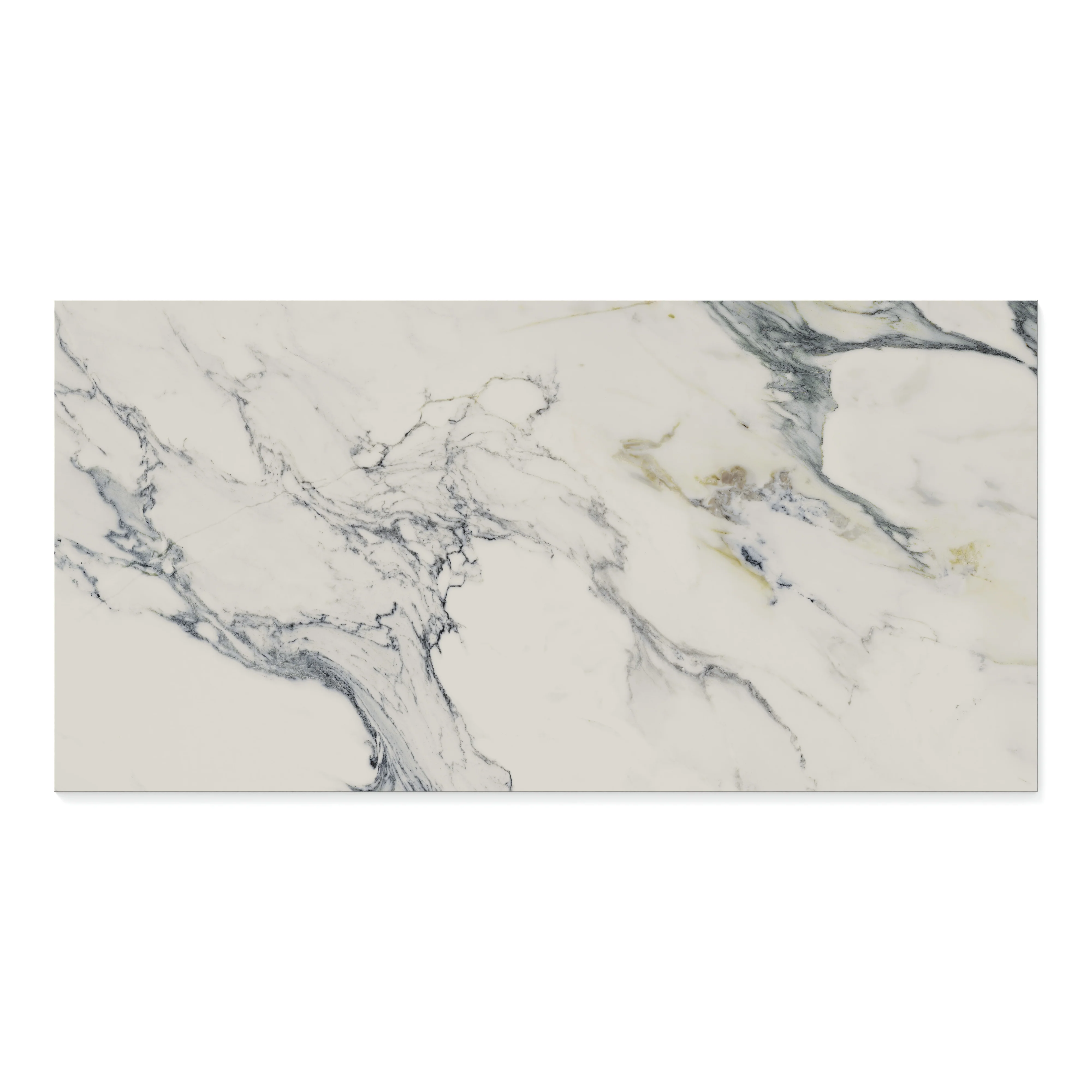 Aniston 24x48 Polished Porcelain Tile in Calacatta Antico - Image 3