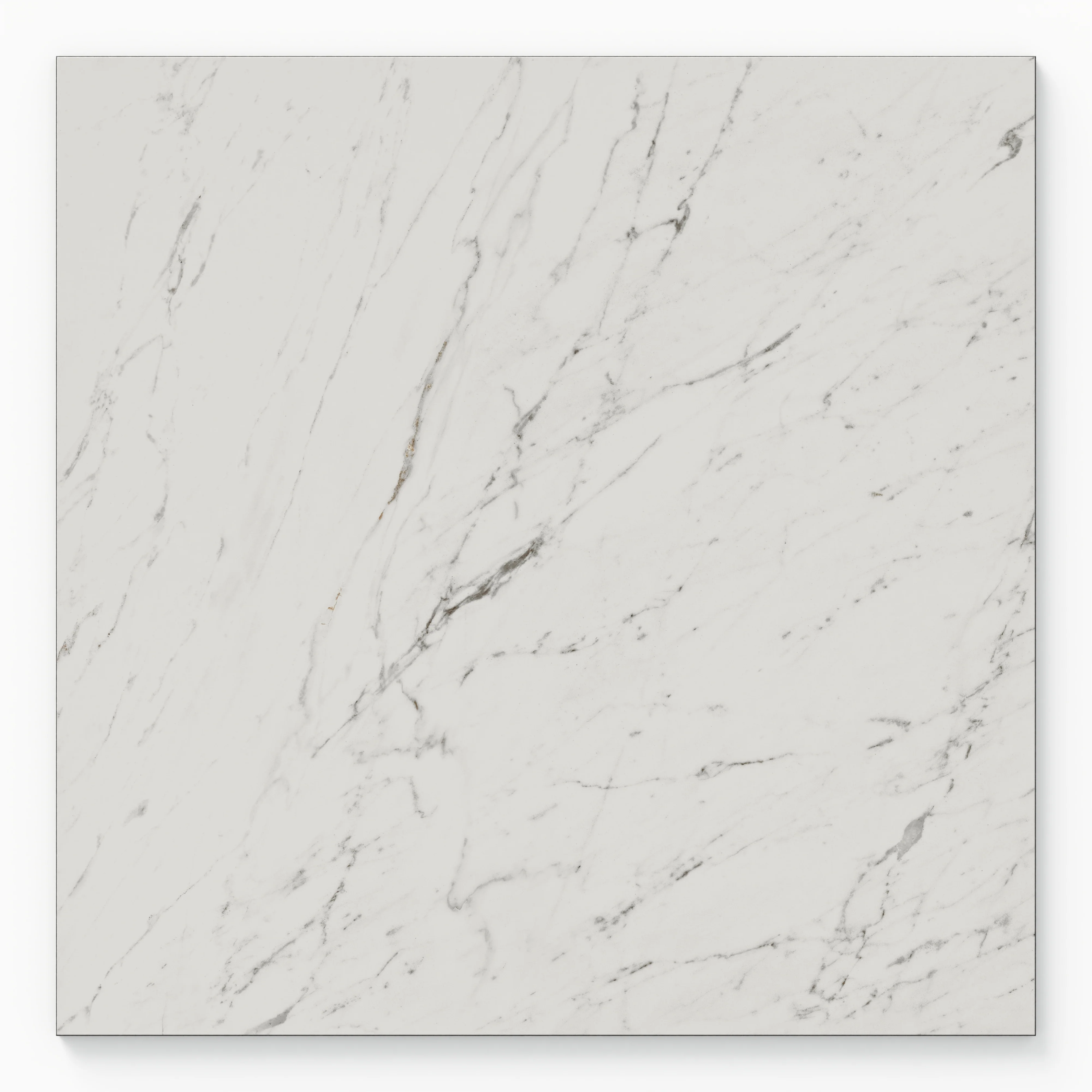Blair 24x24 Polished Porcelain Tile in White Carrara - Image 2