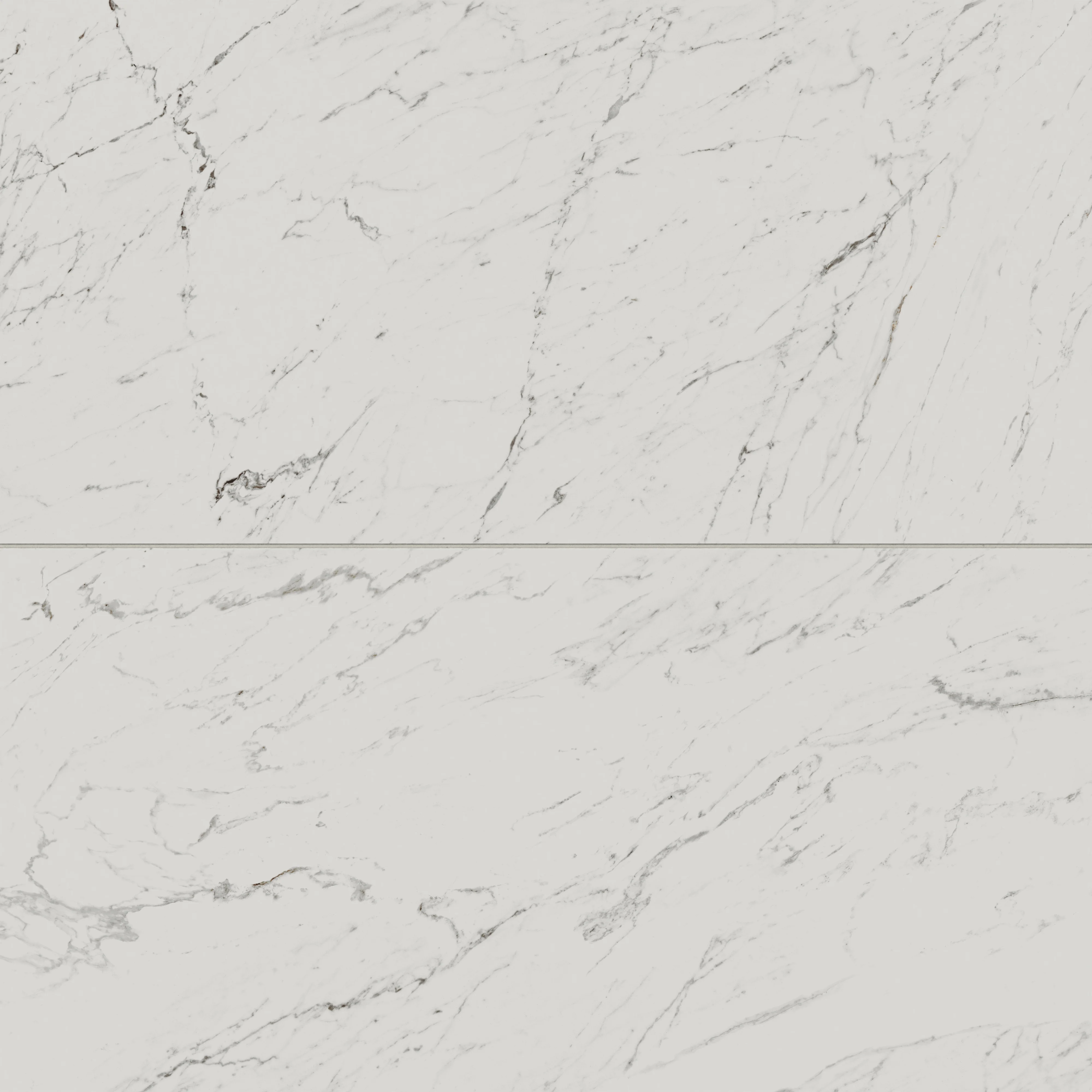 Blair 24x48 Matte Porcelain Tile in White Carrara