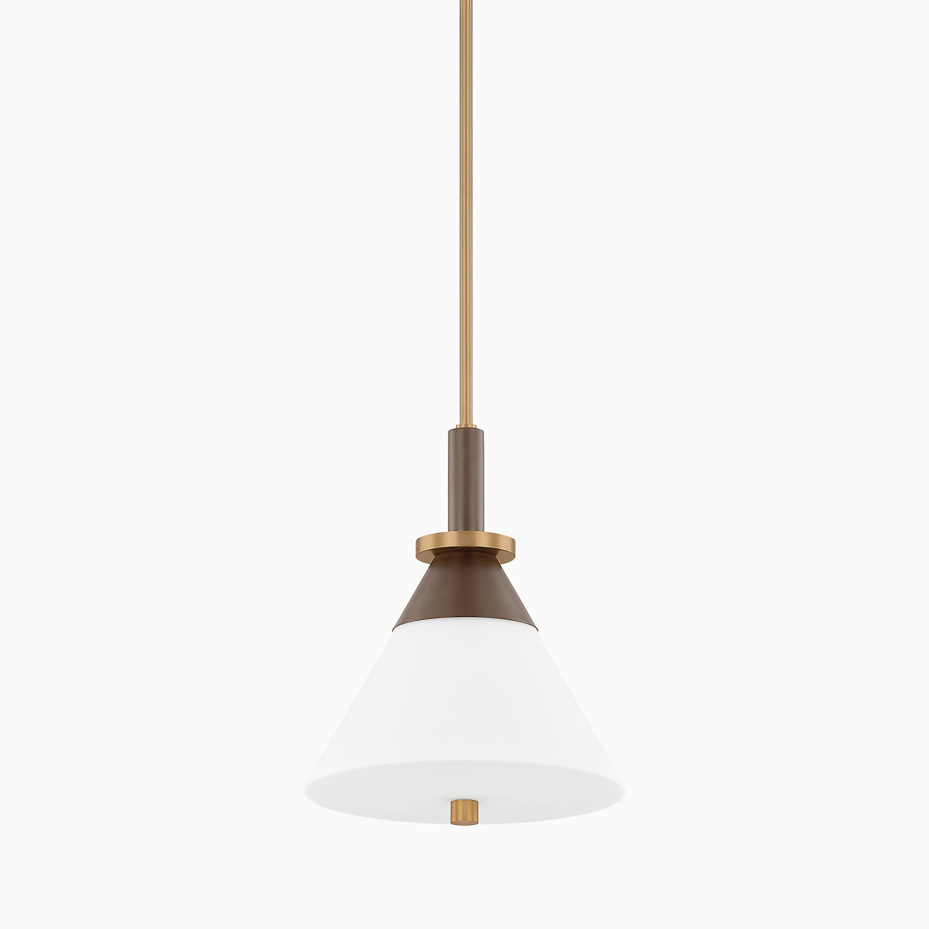Lennie 12" Pendant in Patina Brass/Bronze