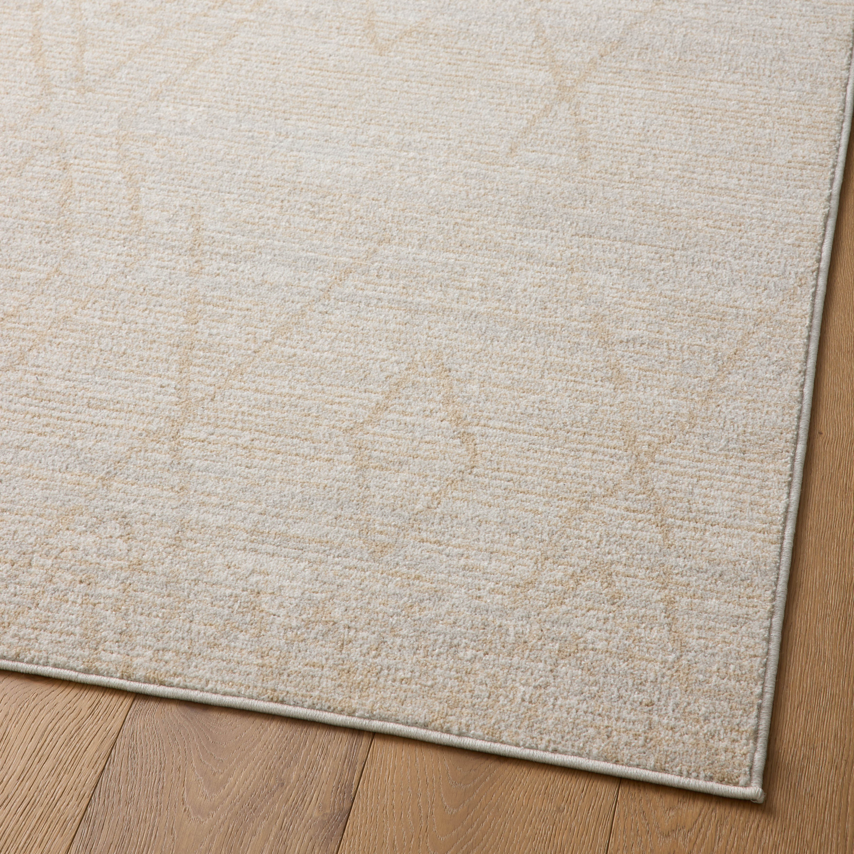 Liddy Rug in Sand / Fog - Image 6